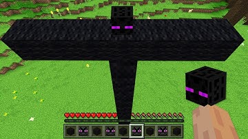 SUPER SECRET WAY TO SPAWN BIGGEST ENDERMAN in Minecraft