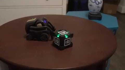 Vector - Amazing Feats & Cube Tricks