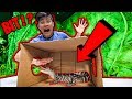What's In The Box CHALLENGE **BIT by ALLIGATOR**