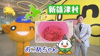 おこめちゃん Youtube