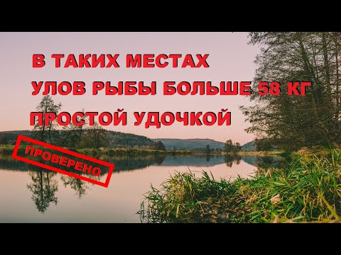 ТАКОЕ МЕСТО знает только 5 РЫБАКОВ! Как "ПРАВИЛЬНО" его искать?