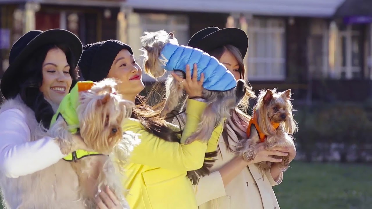 COLLAR Company Presentation video YouTube