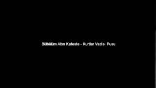 Kurtlar Vadisi Pusu - Bülbülüm Altın Kafeste Resimi