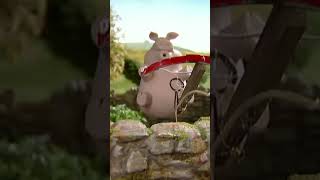 Pelea De Comida -Oveja-Shaun Ñol