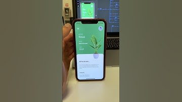 Do you like this?#teta #flutterdev #nocode #foryou #speedcode #alpha #lowocode #appbuilder #uidesign