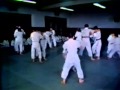 Traditional Japanese Sports: Judo (1984)