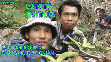 NGỌC ĐIỂM RỪNG BÌNH THUẬN HÀNG KHỦNG LUÔN Ạ