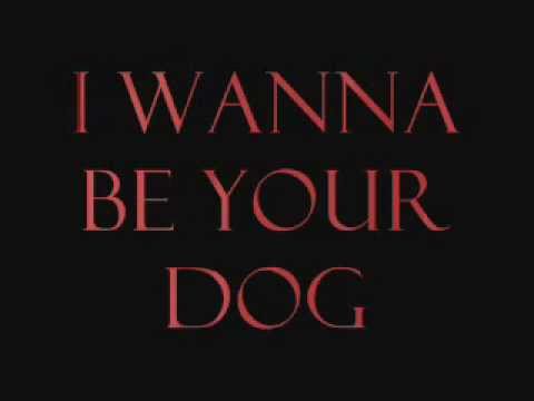 The Stooges - I Wanna Be Your Dog Lyrics - YouTube