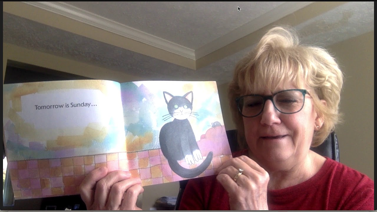 Cookie's Week Book Talk - YouTube