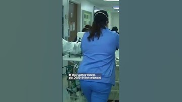 Whistleblower claims CIA covered up COVID-19 origin findings