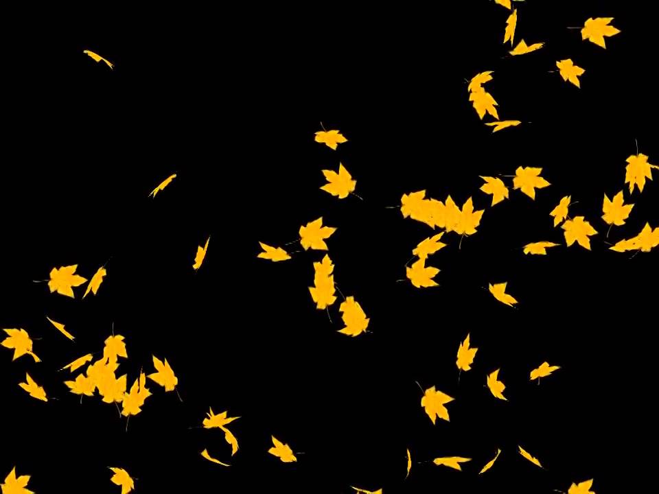 Фото Летящие Листья