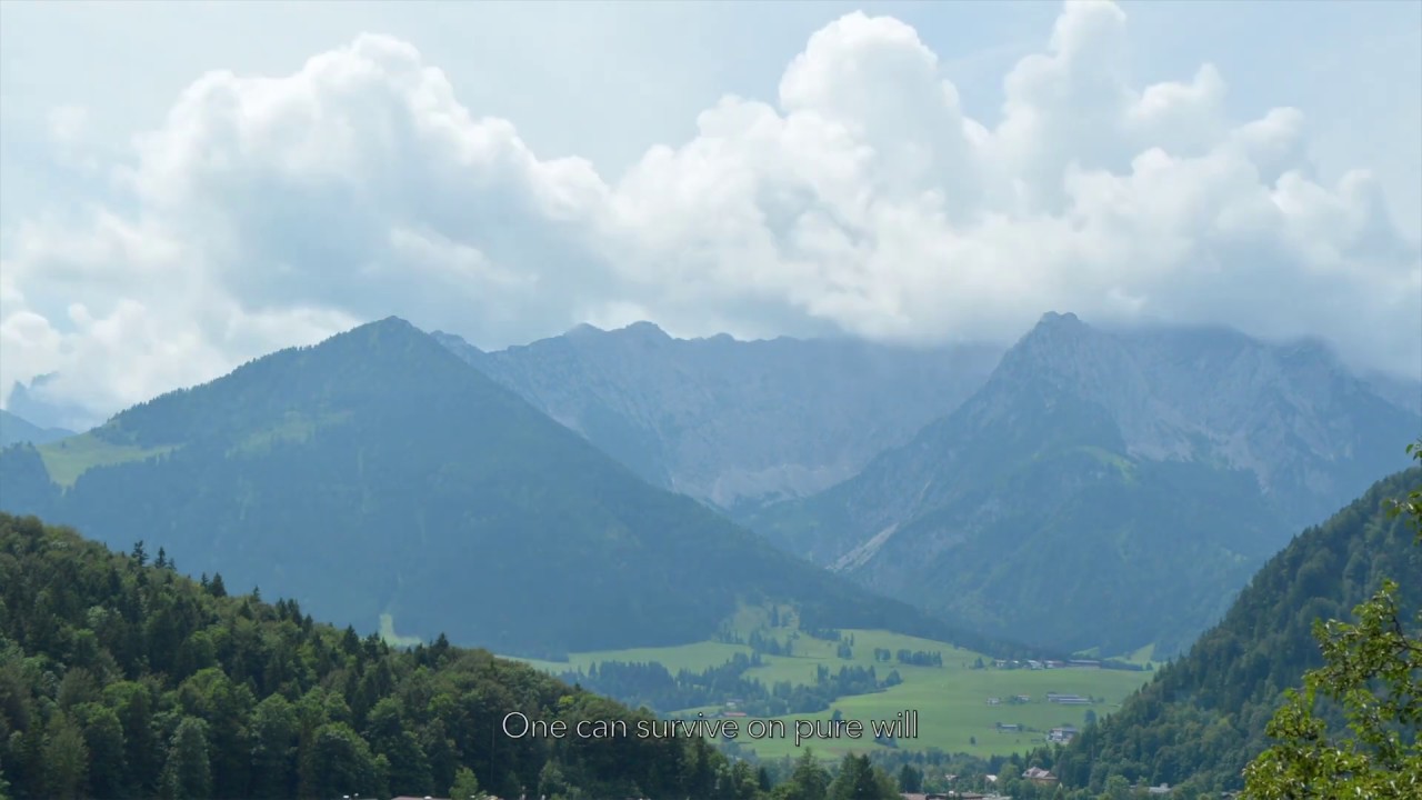 Pure Will - Dear Euphoria (Official Lyric Video)