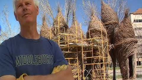 Stickwork by Patrick Dougherty at the Museum of Outdoor Arts