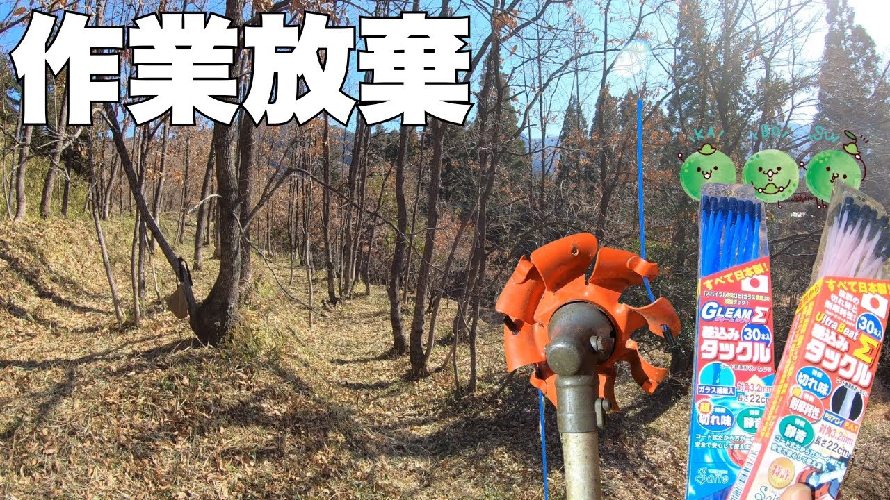 午後から里山の下刈りしたけど「よだきい」なったので作業放棄した！笹に対してのナイロンコードの強度検証