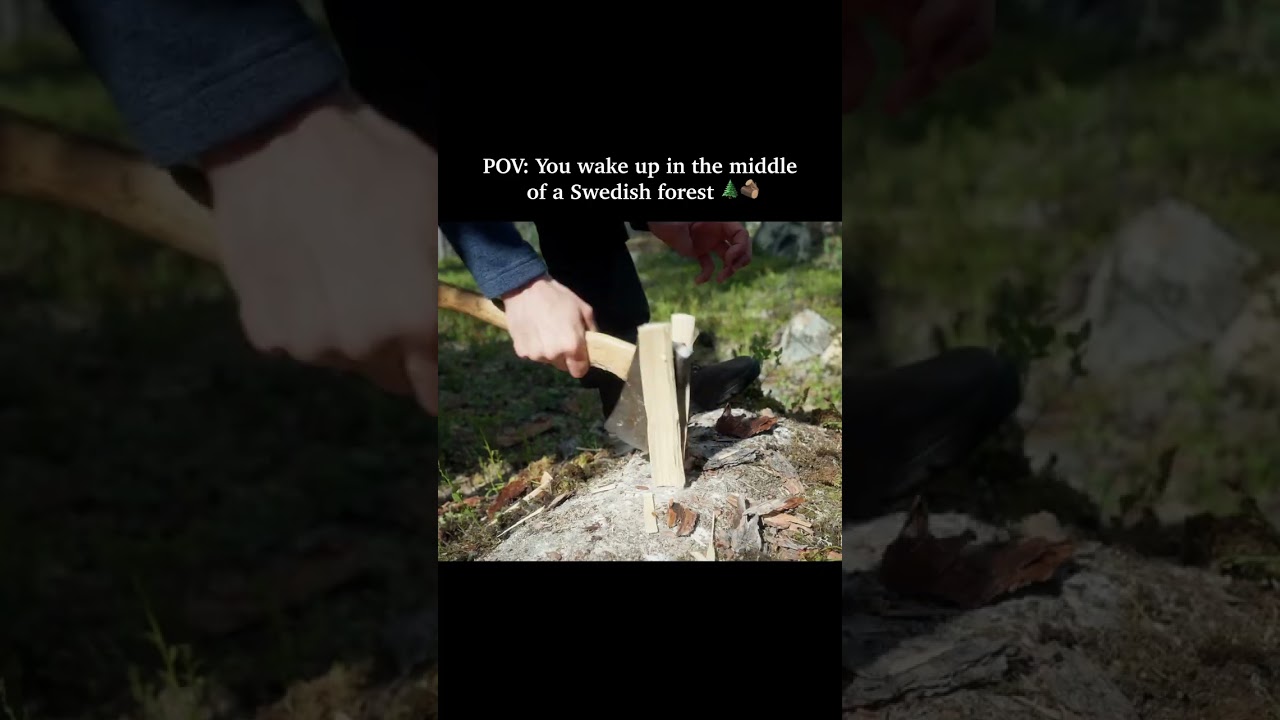 POV: You wake up in the middle of a Swedish forest🌲🇸🇪