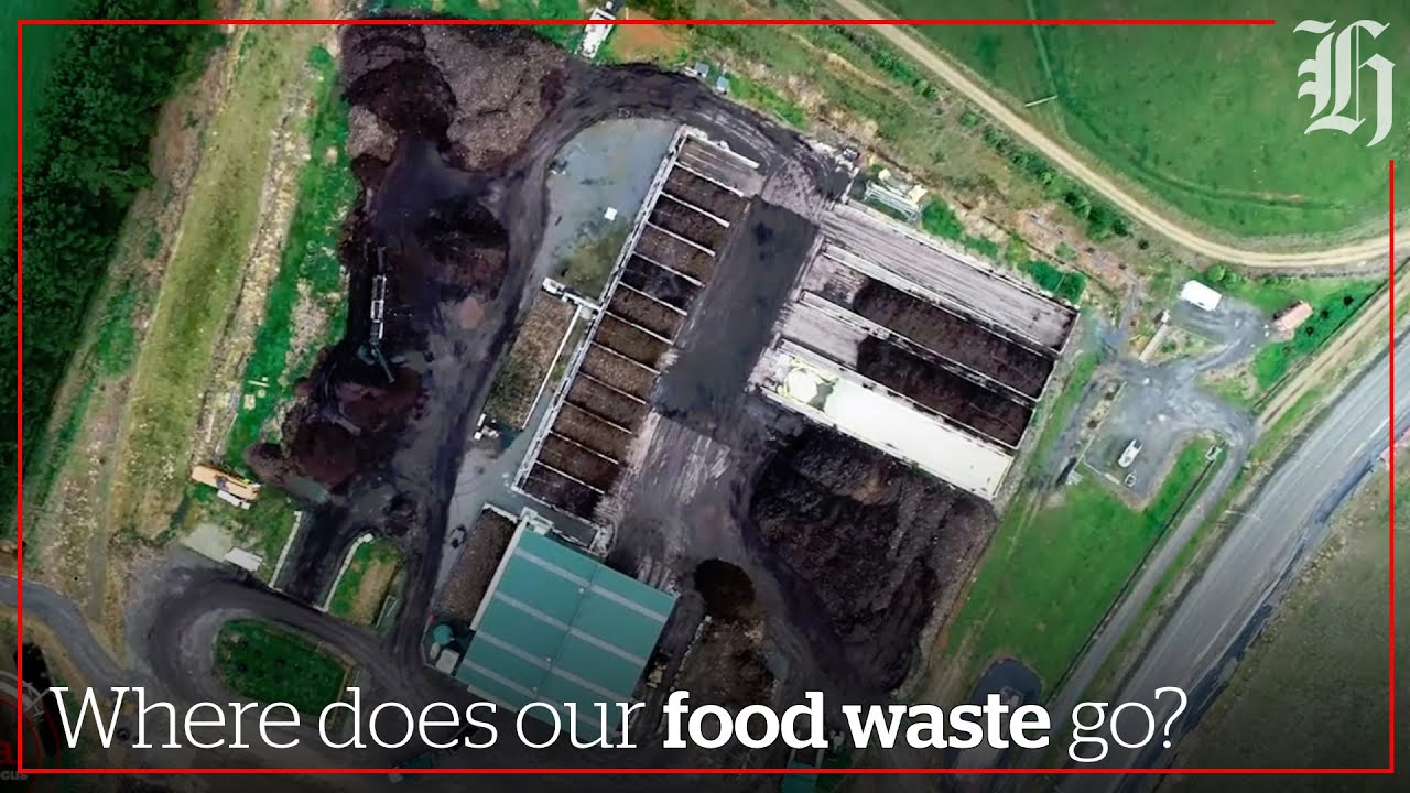 See what happens to Tauranga's food waste Local Focus YouTube