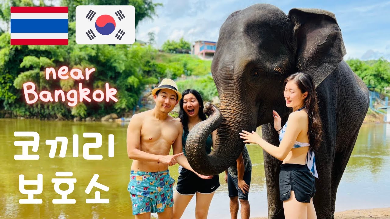 🇹🇭🇰🇷 ELEPHANT SANCTUARY Half Day Trip from Bangkok! (Private Tour