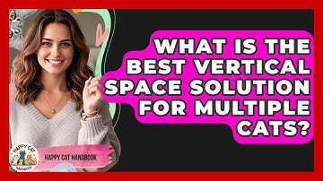 What Is The Best Vertical Space Solution For Multiple Cats? - Happy Cat Handbook