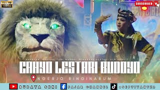 Garapan Anyarjaranan Massal Cahyo Lestari Budoyo  Ngerjo Ringinarum 221125