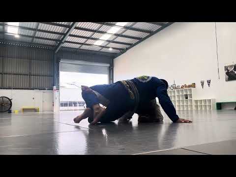 Attacks from turtle. Intermediate level Gi.