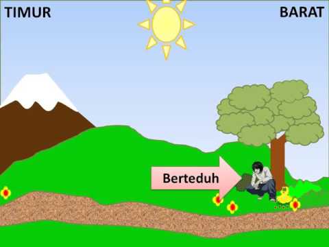 Video: Perlindungan Matahari Untuk Anak-anak, Semua Yang Perlu Anda Ketahui