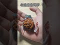 老北京宝可梦，您就盘吧~ #万物可爱计划