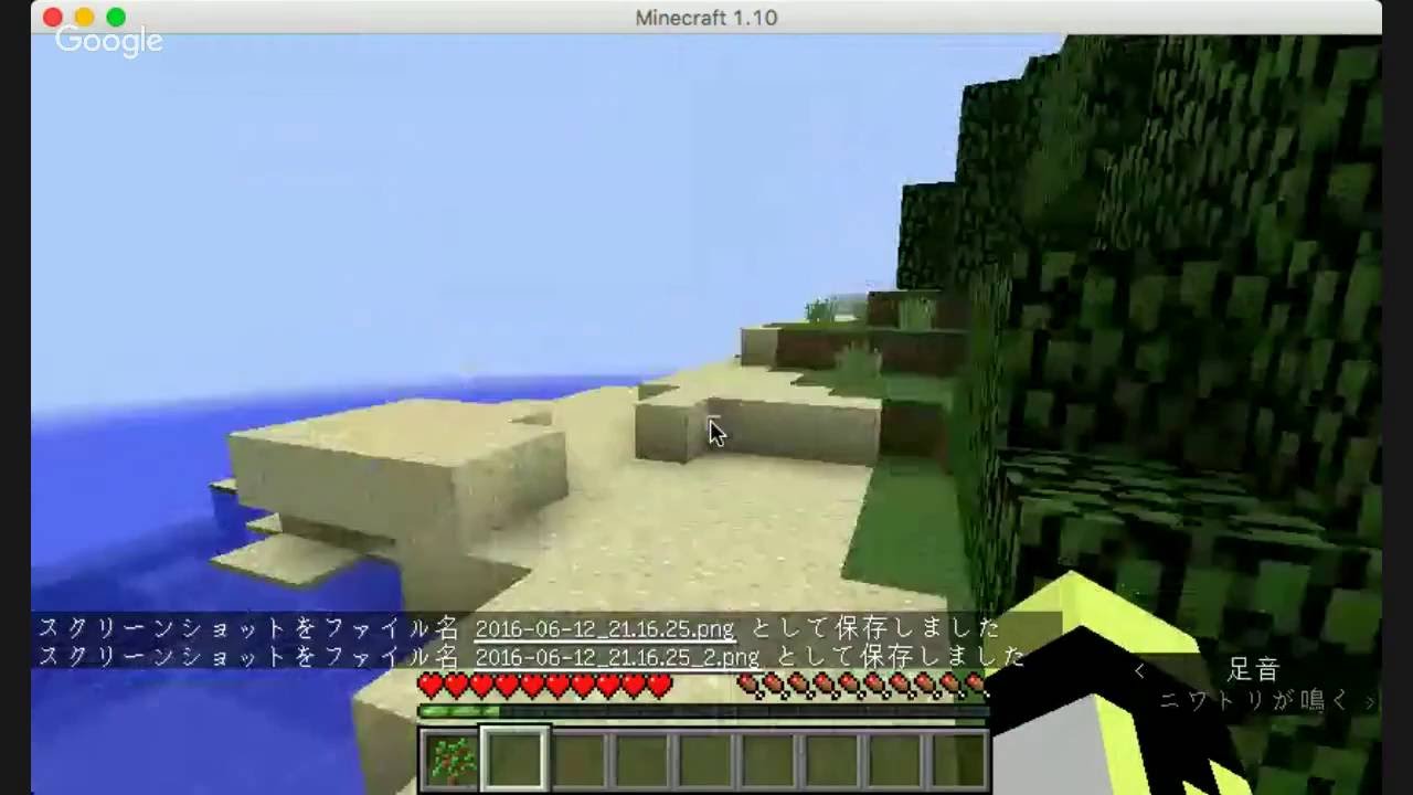 最高のマインクラフト 最高のマインクラフト Ss 保存先 最高のマインクラフト 最高のマインクラフト Ss 保存先