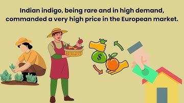 Ruling the Countryside | Class 8 Social Studies