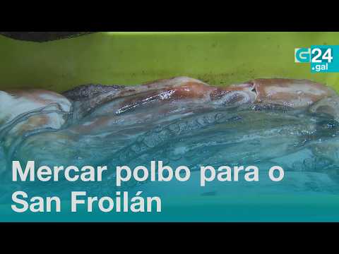 Note the INCREASE in SALES to PROVIDE the POLBO houses for SAN FROILÁN