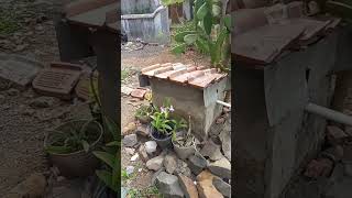 This video is specifically for those of you currently facing difficulties #canelsumantri1816