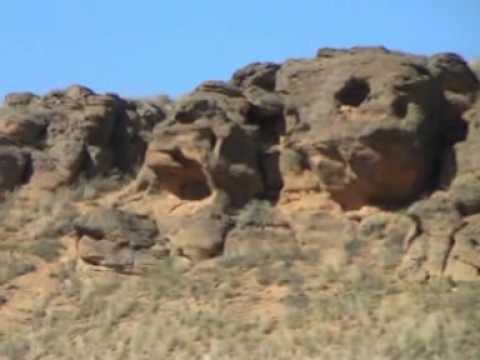 Прерия