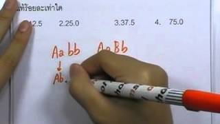 ormBio 056 : พันธุศาสตร์ ,ตอน04