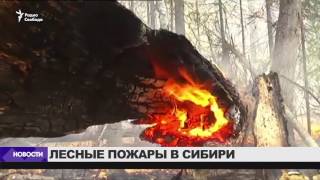 В Сибири горят леса В Сибири горят леса