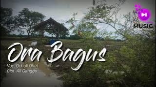 ORA BAGUS || Ocholl Dhut (Cover) Music Tarling Top