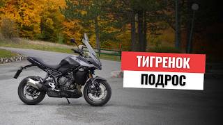 картинка: Triumph Tiger Sport 800 - выбор неочевиден 