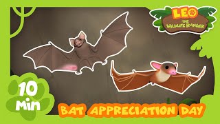 HAPPY BAT DAY (17th April)! | Save Our Bats! | Leo the Wildlife Ranger | Kids Animation