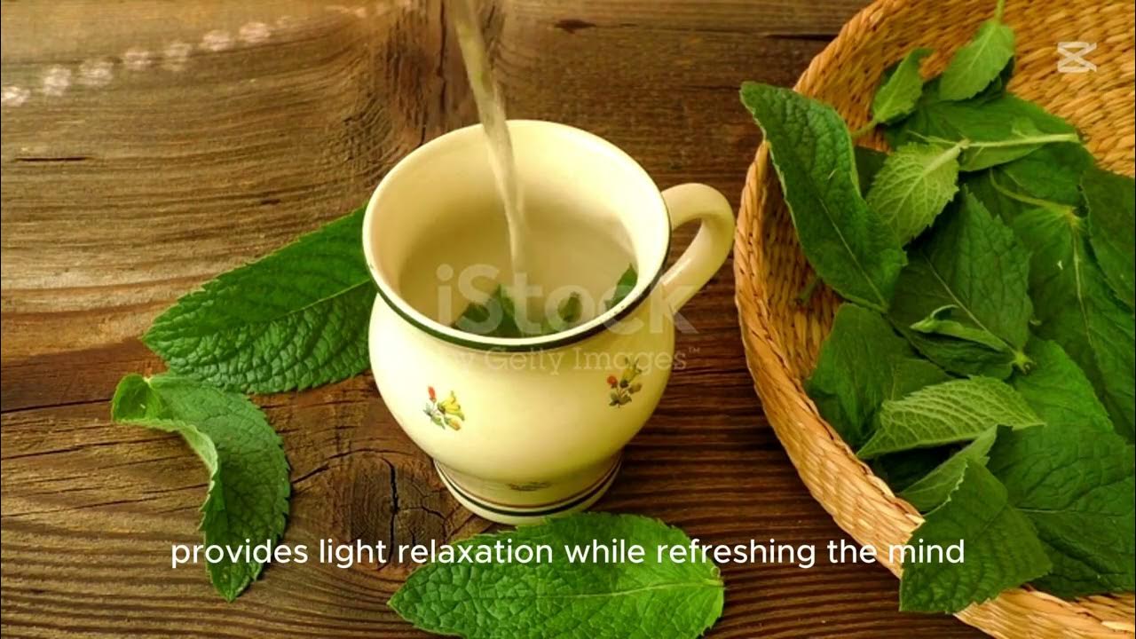 Melissa tea benefits a natural remedy for stress and better sleep