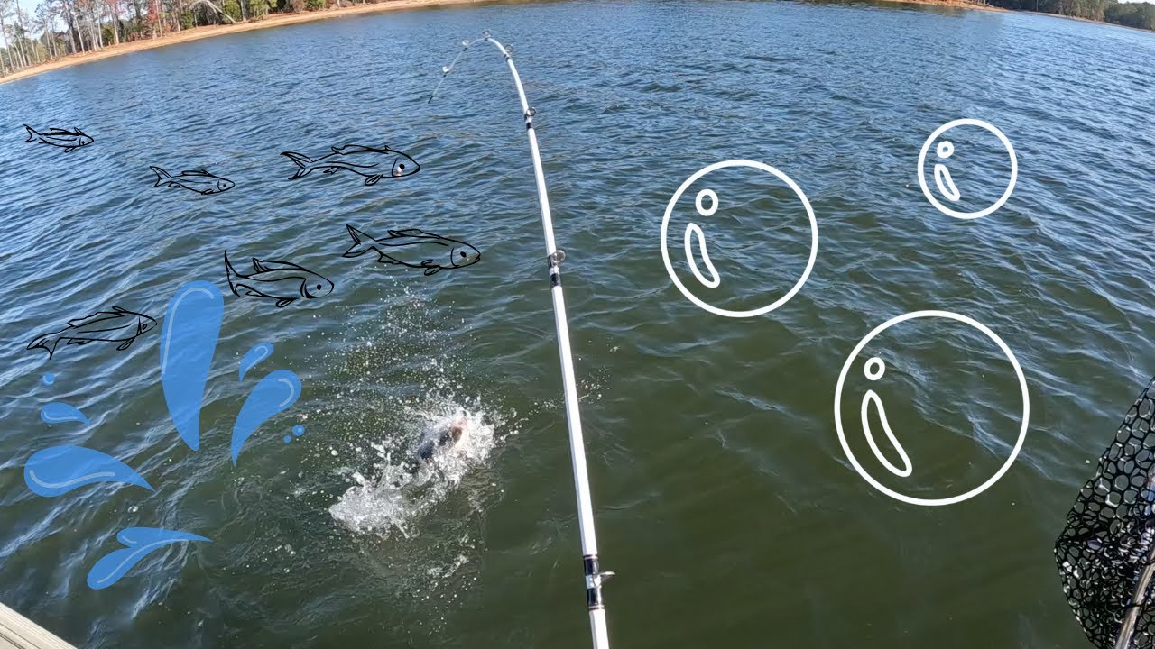 Can you still catch FISH In the winter? YouTube