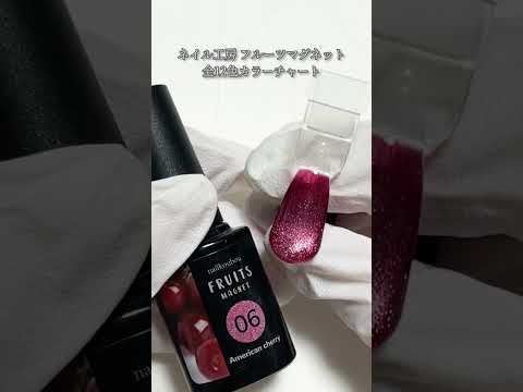 ネイル工房 フルーツマグネット 全12色カラーチャート