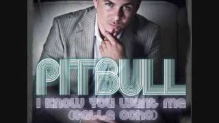 Pit Bull - I Know You Want Me   (HQ) ( Lyrics In Description )