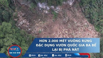 Hơn 2 000 mét vuông rừng đặc dụng vườn Quốc gia Ba Bể bị phá nát