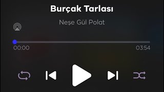 THM - Burçak Tarlası (Neşe Gül Polat) Resimi