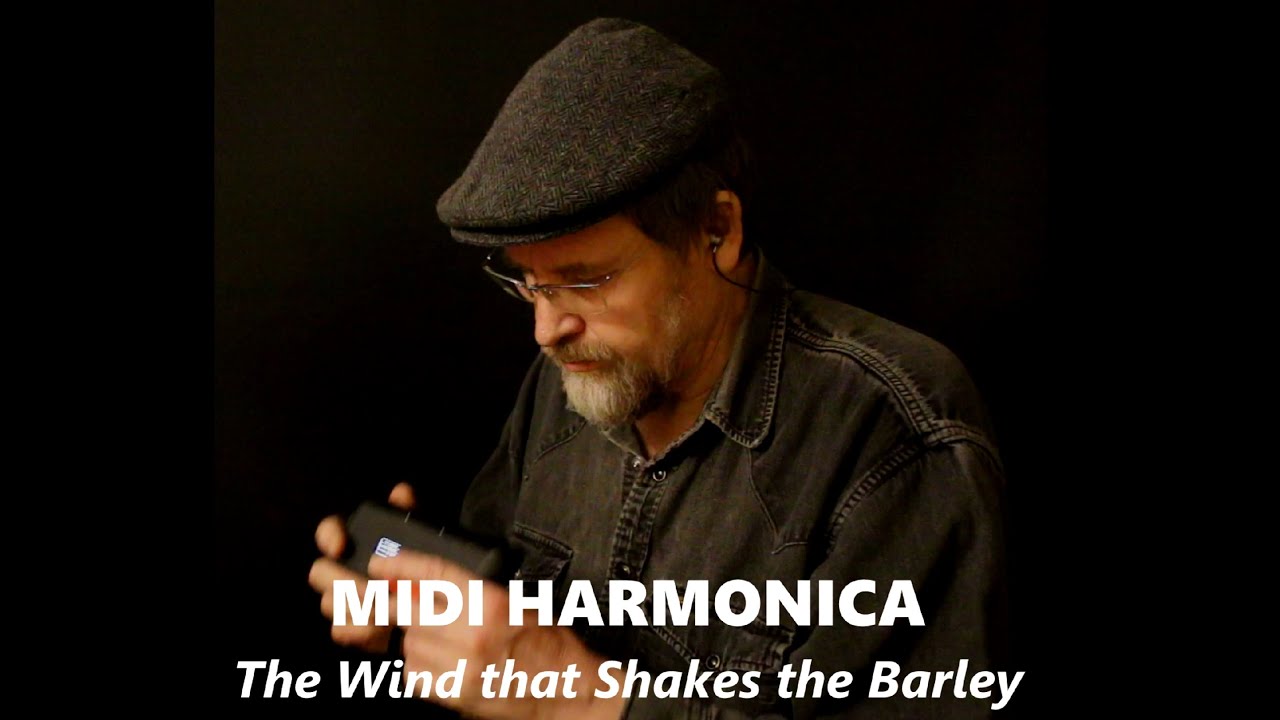 Brendan Power - MIDI HARMONICA + CHORDS in an IRISH TUNE - The Wind that Shakes the Barley