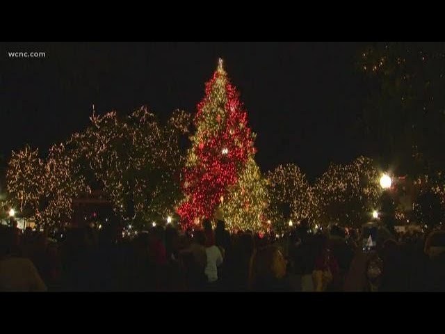Do you prefer multi-colored or white lights on your Christmas tree? - YouTube