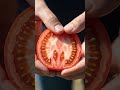 Tomaten-Frust? DIESE 5 Sorten überleben alles! | Garten-Tipps #garten #herbstanfang #blattläuse