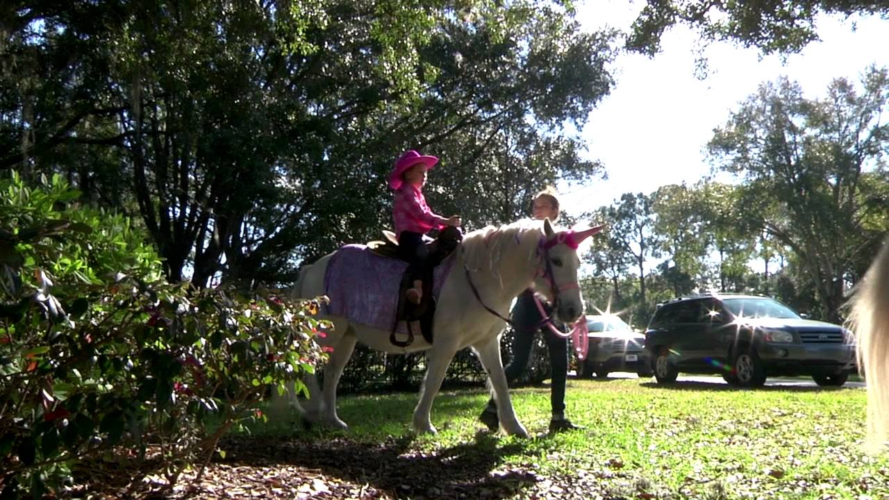 Pretty Party Ponies Memories