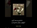 Gaye Mussam Main Jo Khilty Tha Gulaboon Ki Tarhah | #shorts #shayaristatus #poetry