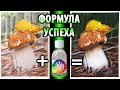 🔥НЕВЕРОЯТНЫЙ ЭФФЕКТ! 👍✔Как избавиться от белых точек в рисунках цветными карандашами