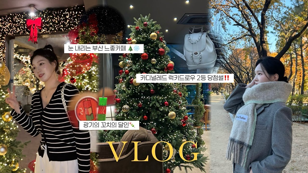 [VLOG] 겨울 일상 모음집❄️ | 카디널레드 럭키드로우 당첨된 썰..❤️‍🔥 | 눈 내리는 부산 카페⛄️ | 부산 1등 국밥은?? | 김해 단풍 맛집 공원 | 꼬치의 달인🍡