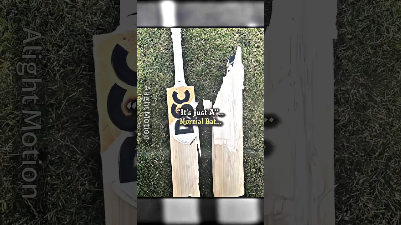 IS IT JUST A NORMAL BAT💔😭...!!|Mr Editz45|